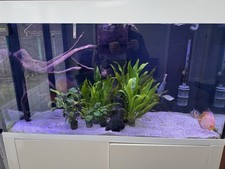 Aqua One Fish Tank
