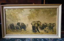 Elephants At  Amboseli by