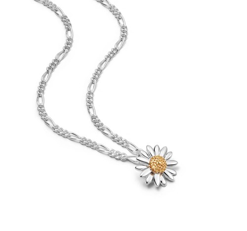 Daisy london english - english,