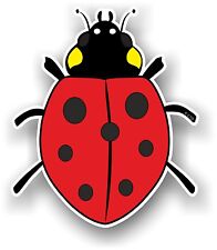 Beautiful Cute Ladybird