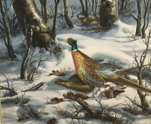 Pheasant shooting oil painting - pheasant,