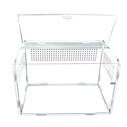 Insect feeding box - feeding, box,acrylic