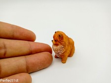 Pomeranian dogs animals - , resin