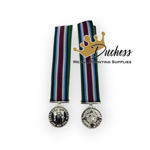 Wider service miniature medal - wider,