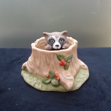 Woodland Surprises. RACCOON in