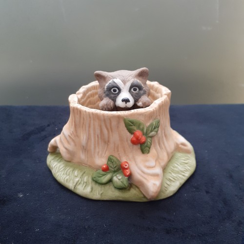 Woodland surprises raccoon - woodland, in