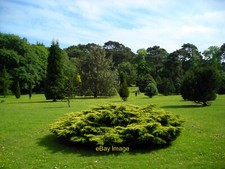 The Pinetum at Pine Lodge