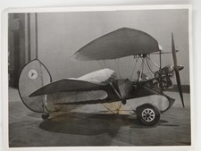 Pou Du Ciel Flying Flea Mignet