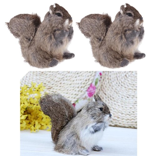 2pc animal squirrel - animal, taxidermy