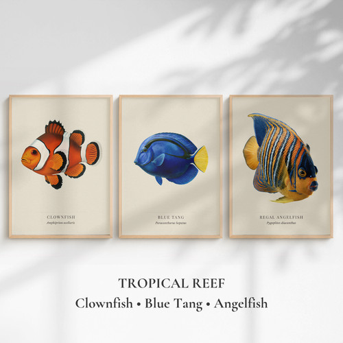 Tropical reef fish prints - tropical,