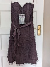 Coast Size 10 Aubergine