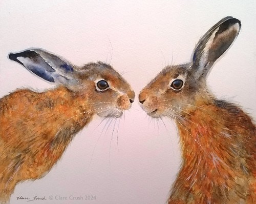 Hare rabbit animal wildlife - hare,