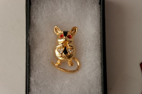 Beautiful fashion brooch with - beautiful,