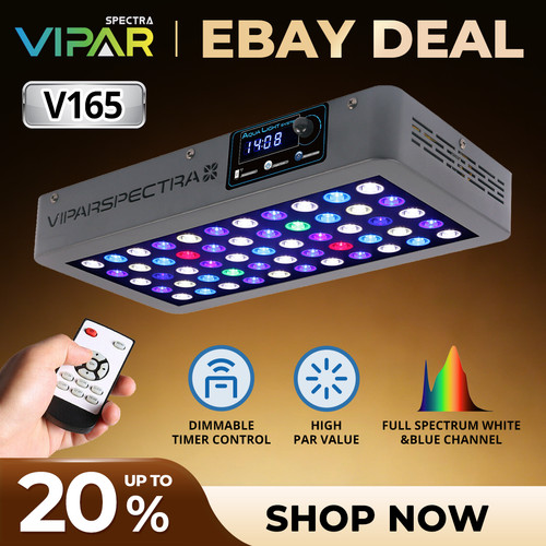 Viparspectra timer control - timer,