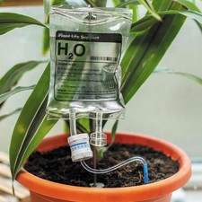 Plant life support automatic - plant,