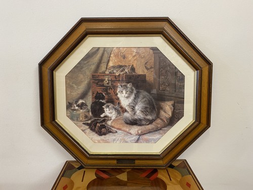 Stunning henriette ronner knip - stunning,