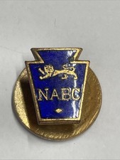 National Association of Boys' Club Enamel Badge
