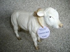 Country Artists Charolais Bull