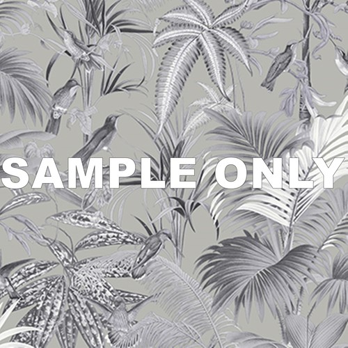 Tropical rain forest - tropical,