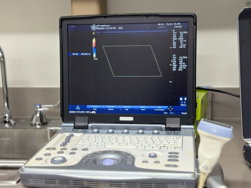 Healthcare vivid portable - ge,