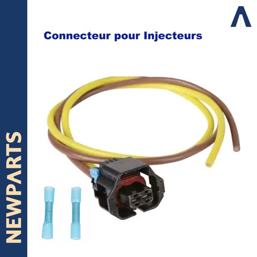 Plug beam injection for fiat - plug,