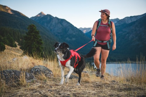 Ruffwear web master - master, dog