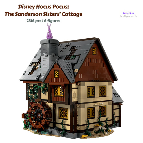 Build blocks disney hocus - disney,