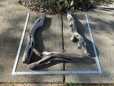 Natural Manzanita Driftwood