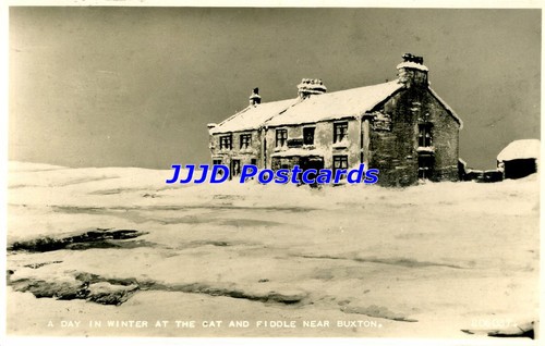 Dby24 derbyshire buxton cat - derbyshire, &
