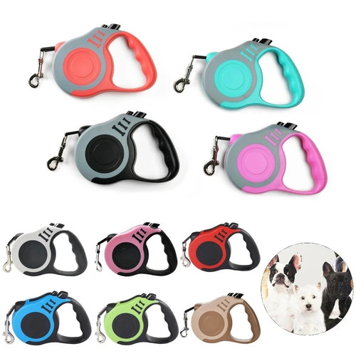 Retractable dog lead - dog,
