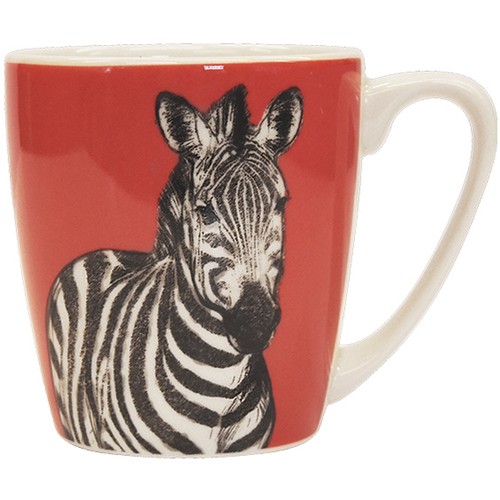 Queens the kingdom zebra - the,