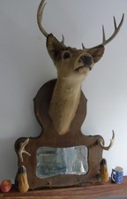 STAGS HEAD ROE DEER MOOSE HORN MIRROR COAT HANGER ANTIQUE