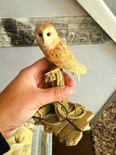 Border fine arts - fine, owl