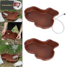 Reptile Bathing Pool Feeding