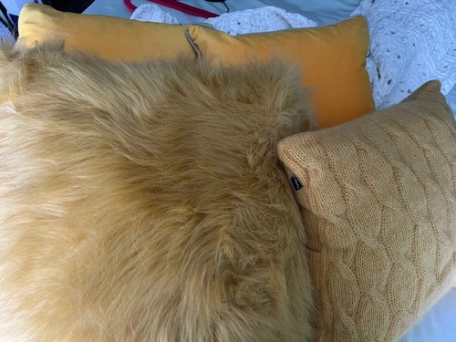 Mixed yellow scatter cushion - scatter,