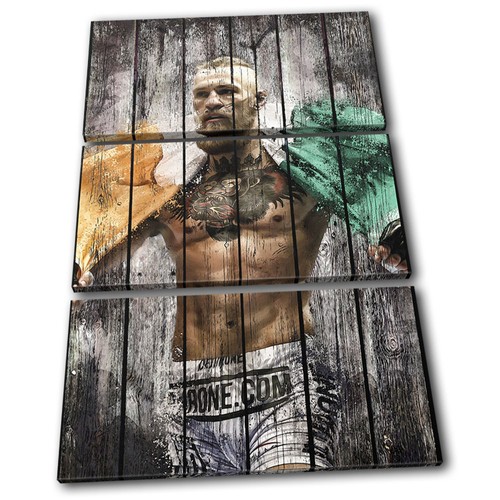 Connor mcgregor ufc grunge - mcgregor,