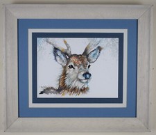 Young Red Deer Stag. Original watercolour by listed artist Be Coventry, 2016