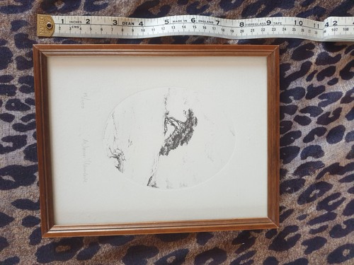 Warner hemstede signed limited - hemstede,