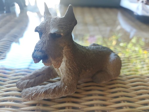 Vintage schnauzer dog - vintage,