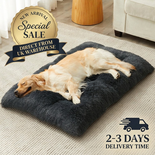 Xxl dog bed - bed, pet