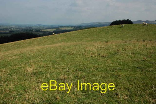 Photo 6x4 grazing land above - 6x4,