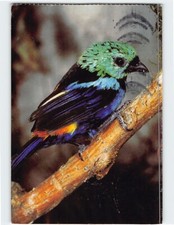 Postcard Seven-colored