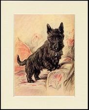 SCOTTISH TERRIER SCOTTIE DOG