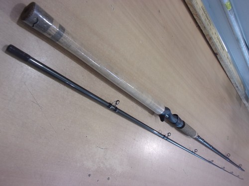 Fenwick hmx casting rod 9 - ,