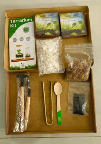 Diy terrarium kit - kit,