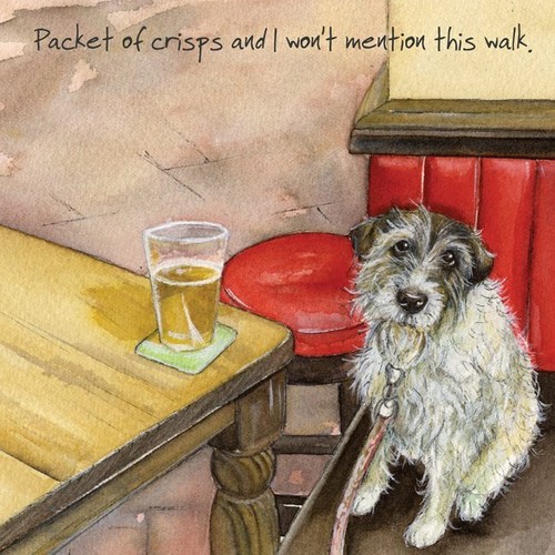 Little dog laughed scruffy - dog,