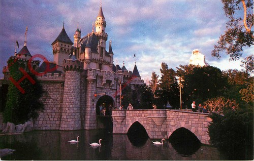 Picture postcard disneyland - picture,