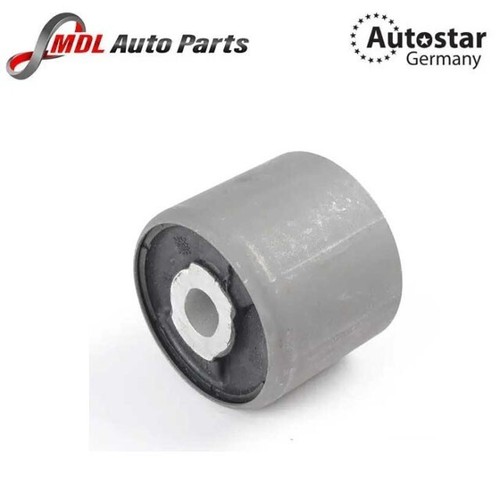 Autostar germany control arm - control,