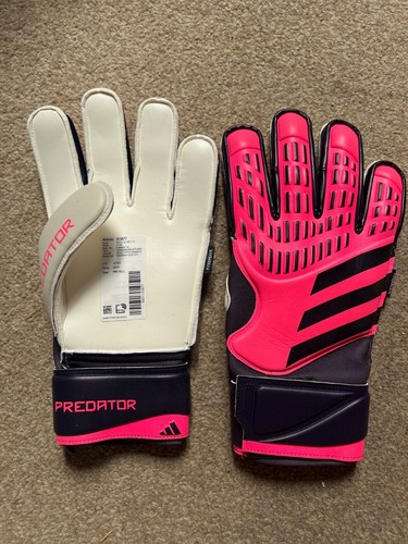 Adidas predator training - gl,