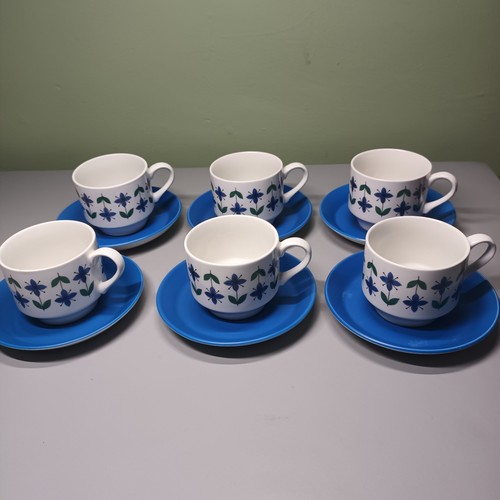 Midwinter roselle cups - roselle,